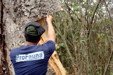 Aktivis ProFauna Kampanye hutan di Lereng Gunung Semeru