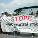 Campaign against wildlife trade