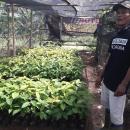 Sugianto, pejuang hutan dari Malang selatan