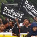 ProFauna kampanye di Surabaya