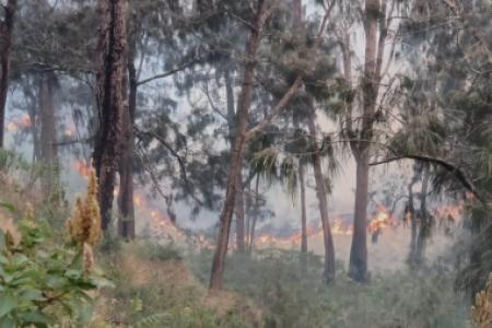 Kebakaran hutan di Gunung Arjuna