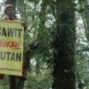 ProFauna's campaign against government's plan to enlist palm oil plantation as forest.