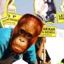 Primate Campaign