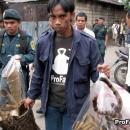 Confiscation of tiger parts in Jakarta