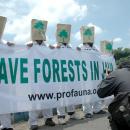 ProFauna aktif melakukan kampanye dan edukasi tentang pelestarian hutan yang tersisa di Jawa