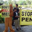 ProFauna Protests the Illegal Trade of Sea Turtle in Bali