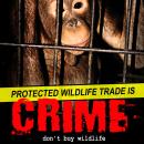 Protected Wildlife trade is crime