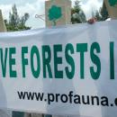 ProFauna campaigns on the protection of the remaining forests in Java Island