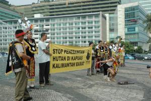Bersama masyarakat adat Dayak, ProFauna kampanye menentang perusakan hutan di Kapuas oleh perusahaan kayu
